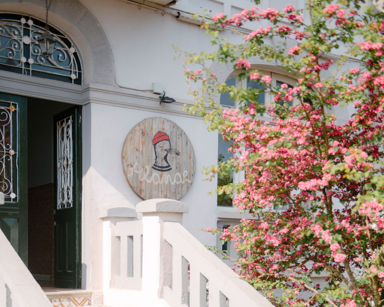 Alamar Salinas House (Alamar Surf House)