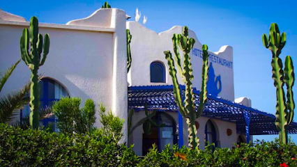 Surfcamp Un Thé Au Bout Du Monde