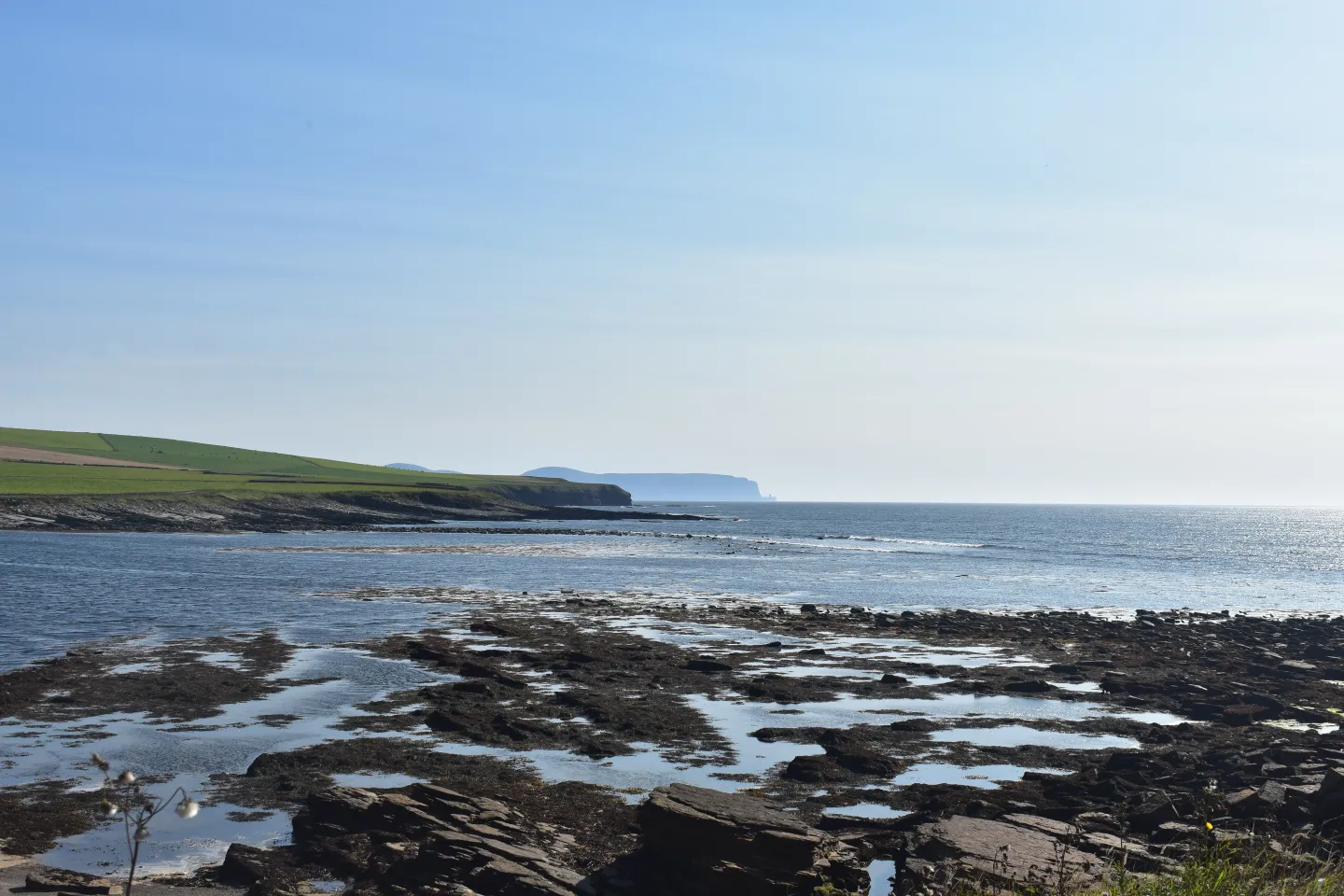 Marwick