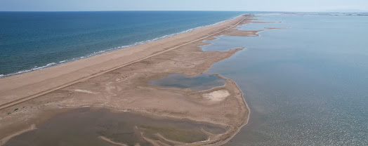 Platja Salvatge del Trabucador